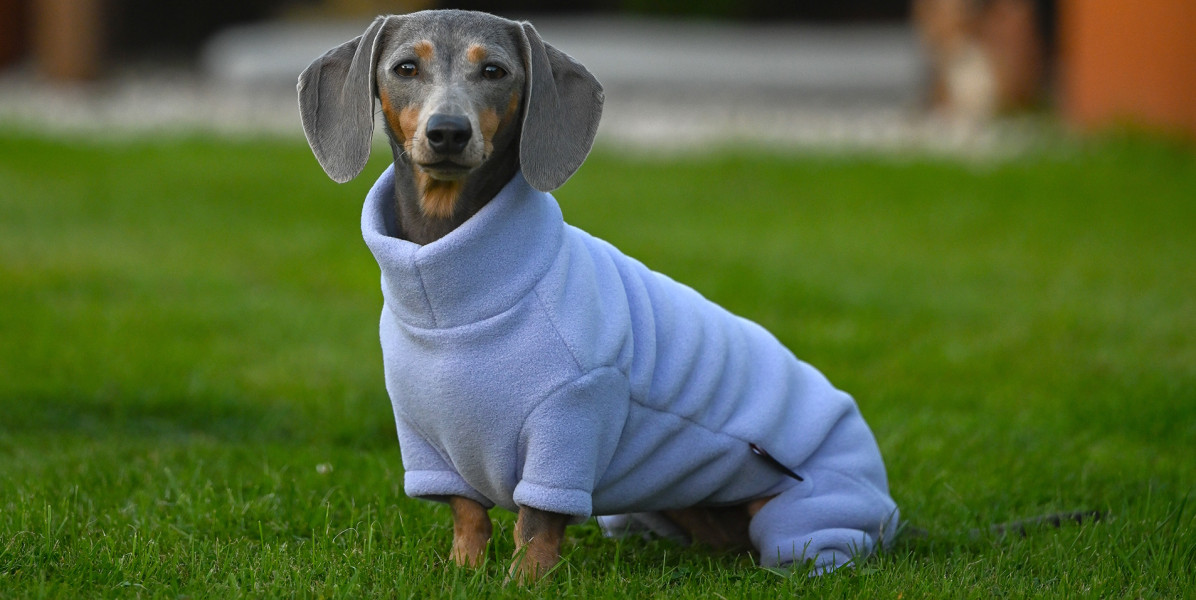 polartec-fleece-dog-coats-dog-jumpers-dog-suits-summer-suits-t