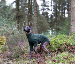 Dog Jumper, Loden Green