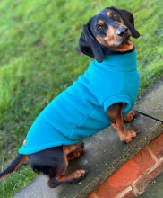 Dachsie Jumper, Teal