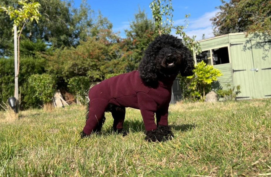 polartec-fleece-dog-coats-dog-jumpers-dog-suits-summer-suits-t