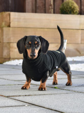 Dachsie Jumper, Black