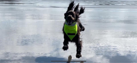 Ultra-Bright Neckerchief, Fluorescent Yellow