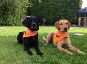 Ultra-Bright Neckerchief, Blaze Orange