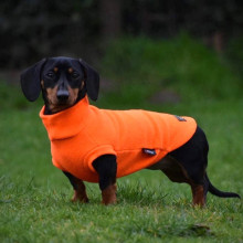 Dachsie Jumper, Blaze Orange