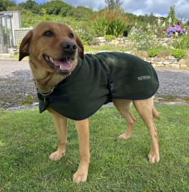 Dog Coat, Loden Green