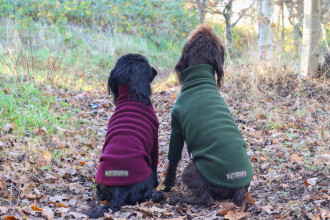 Dog Jumper, Loden Green, Mulberry