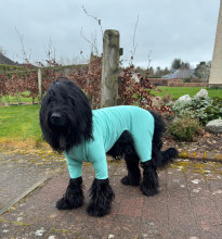 T-Shirt Suit, Mint Green