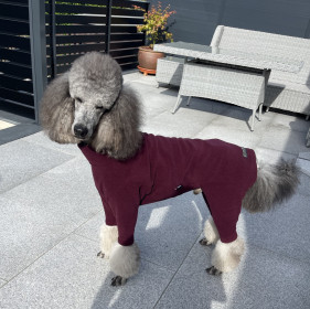 Dog Suit, Mulberry