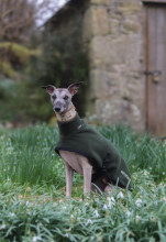 Polo Neck Coat, Loden Green