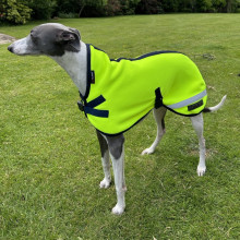 Dog Coat, Fluorescent Yellow