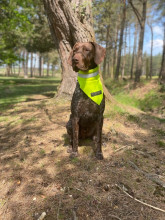 Ultra-Bright Neckerchief, Fluorescent Yellow