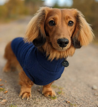 Dachsie Jumper, Navy