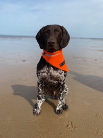 Ultra-Bright Neckerchief, Blaze Orange