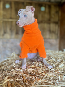 Dog Jumper, Blaze Orange Dog Jumper, Blaze Orange