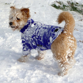 Equafleece Dog Jumper