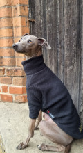 Dog Jumper, Black