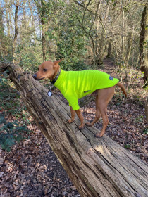 Dog Jumper, Fluorescent Yellow