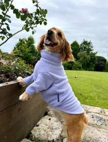 Dog Jumper, Lavender