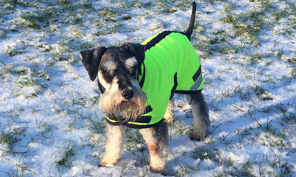polartec-fleece-dog-coats-dog-jumpers-dog-suits-summer-suits-t
