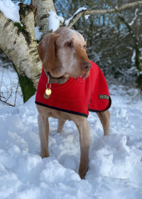 Polo Neck Coat, Red