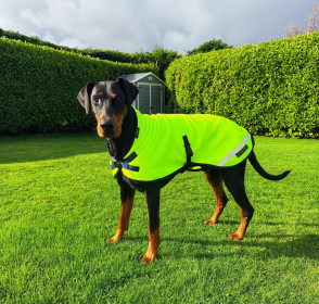 Dog Coat, Fluorescent Yellow Dog Coat, Fluorescent Yellow