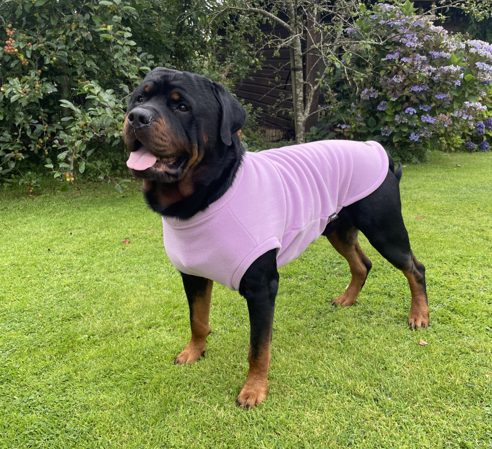 Polartec Fleece Dog Tankie Rainproof Breathable Warm and Washable Equafleece